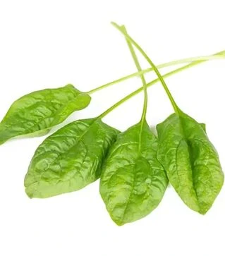 Семена шпината Блобфиш F1, п.е. 1 млн. семян (Rijk Zwaan)