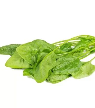 Семена шпината Блобфиш F1, п.е. 1 млн. семян (Rijk Zwaan)