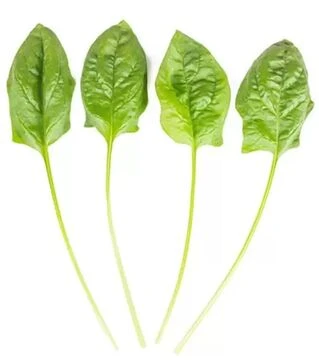 Семена шпината Блобфиш F1, п.е. 1 млн. семян (Rijk Zwaan)