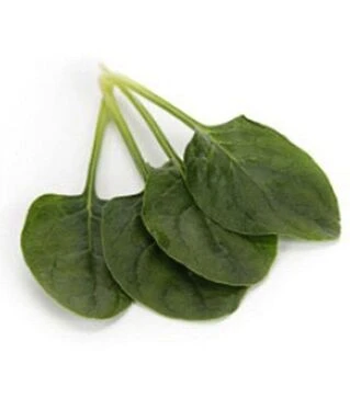 Семена шпината Пронгорн F1, п.е. 1 млн. семян (Rijk Zwaan)