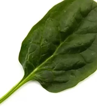 Насіння шпинату Крострек F1, п.о. 25 тис. насінин (Enza Zaden)