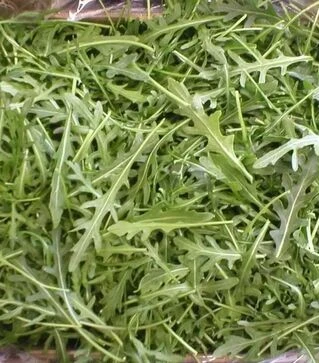 Насіння руколи Вайлд Рокет, 250 г (Semo)