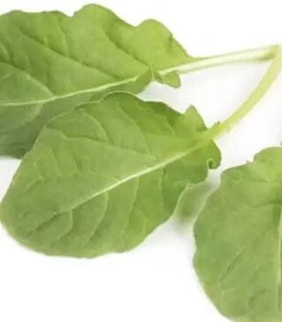 Семена рукколы Спаркл, п.е. 1 млн. семян (Enza Zaden)