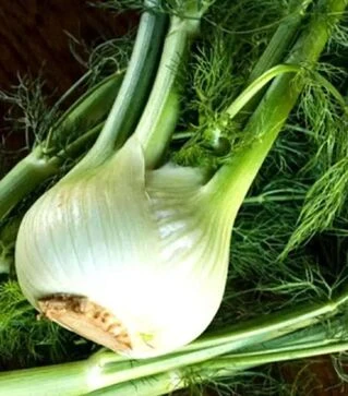 Семена фенхеля Прелюдио, п.е. 1 тыс. семян (Vitalis)