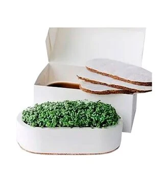 Набор для выращивания Старт, брокколи, горчица, редис (Grow Some)