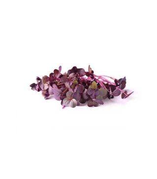 Семена редиса для микрозеленые Риоха, листовые, беби листья, импорт, 1 кг