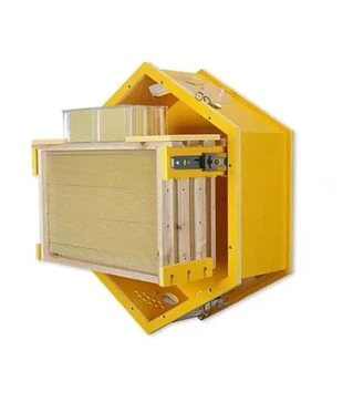 Вулик домашній оглядовий (HSB001)