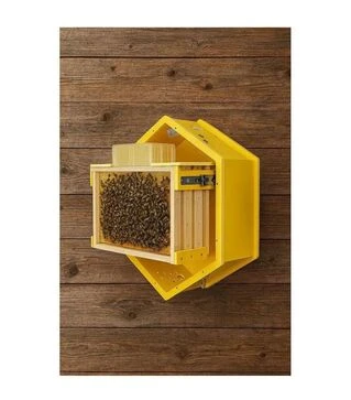 Вулик домашній оглядовий (HSB001)