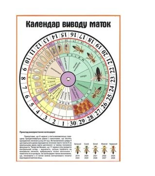 Календар виведення маток (KM0003UK)