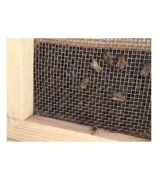 Бджолопакет Карпатка 4 рамки (PP3001K)