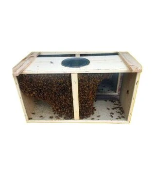 Бджолопакет Карпатка безстільниковий (BPK1300)