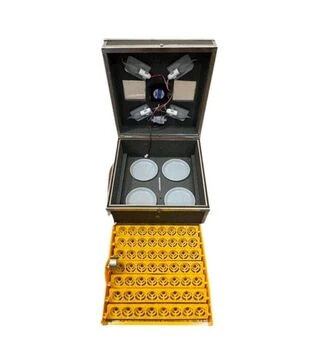 Инкубатор автоматический Наседка 56 (220 В)