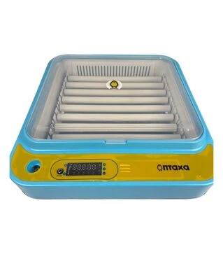 Инкубатор автоматический Птица 64-N (220 В; 12 В)