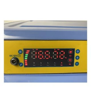 Инкубатор автоматический Птица 64-В (220 В; 12 В)