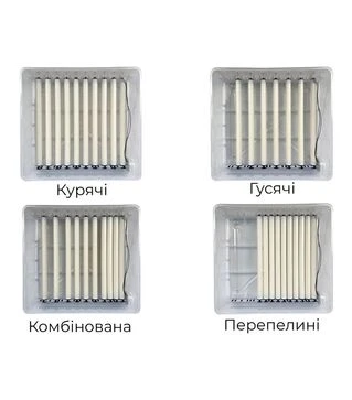 Инкубатор автоматический Птица 64-В (220 В; 12 В)