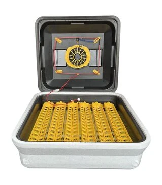 Инкубатор автоматический Теплуша Euro 88 ТАВ 12 (220 В; 12 В)