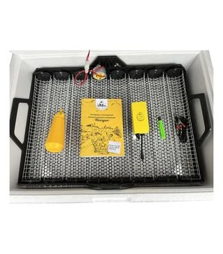 Инкубатор автоматический Теплуша Люкс 72 ТАВ12 (220 В; 12 В)