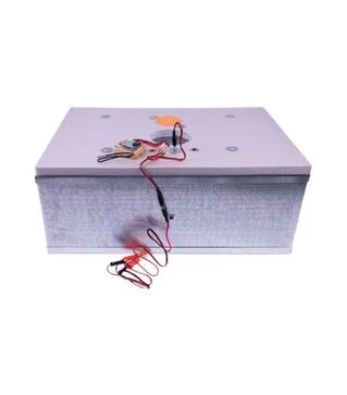 Инкубатор механический Наседка 54 (220 В; 12 В)