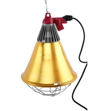 Защитный плафон для лампы на цепочке и выключателем №2