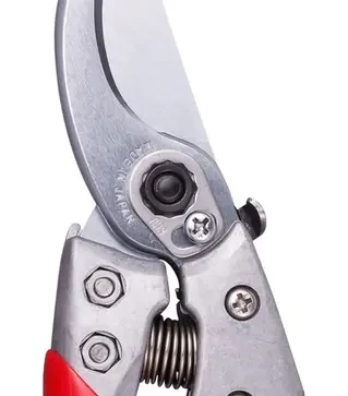 Секатор ARS VS-9XR, 25 мм