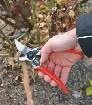 Секатор FELCO 11, 25 мм