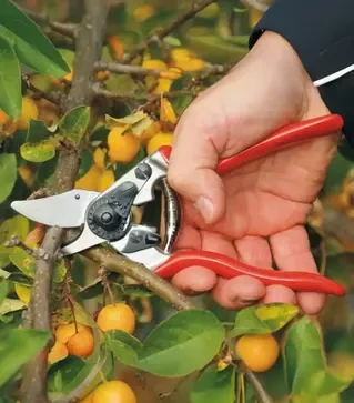 Секатор FELCO 6, 20 мм
