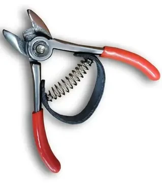 Ножиці для збирання плодів Due Buoi 158/12