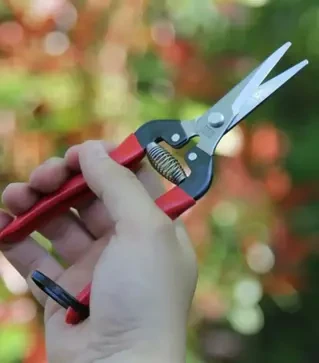 Садовые ножницы ARS 300L-DX