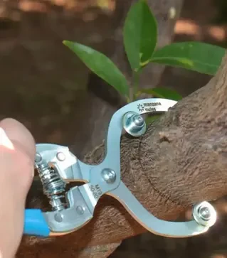 Устройство для кольцевых надрезов MANZANA M19/50-80