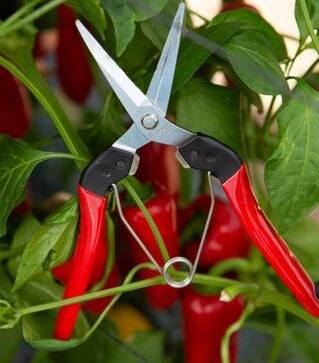 Ножницы для сбора плодов Felco 322 Ø10 мм, 190 мм