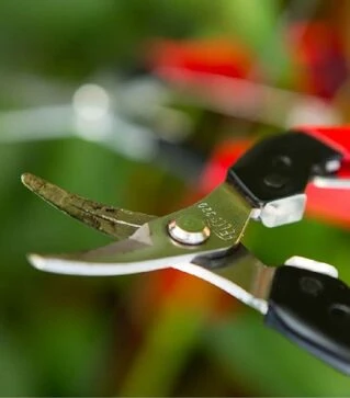 Ножиці для збору плодів Felco 320 Ø8 мм, 154 мм