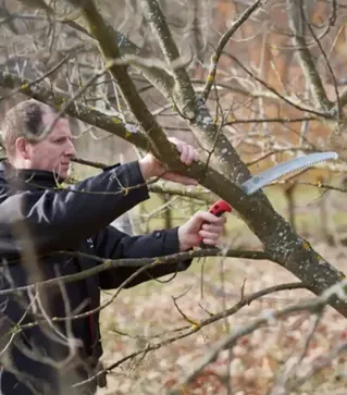 Пилка Felco 630, 330мм, з чохлом