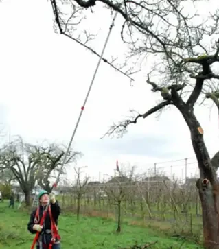 Пилка телескопічна Silky Forester 4500, 380 мм (273-45)