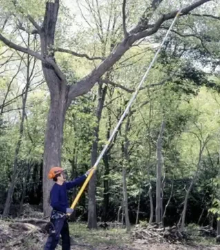 Пилка телескопічна Silky Hayate 7700, 420 мм (377-42)