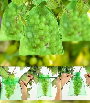 Сіточка-рукав для винограду, 21x33 см, для грона до 2 кг