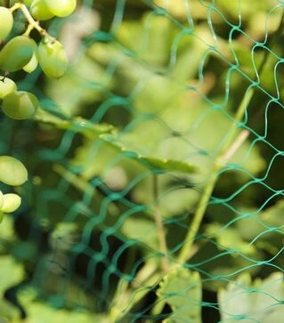 Сітка від птахів Nortene Intermas Birdnet, 4x100 м