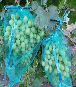 Сітка для захисту винограду 5 кг, 28х40 см, 50 шт (30611)