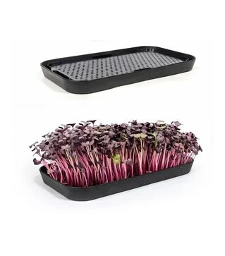 Лоток гідропоніка для вирощування мікрозелені (tray-black-abs)