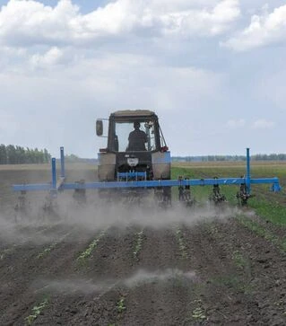 Культиватор междурядный AGROKALINA КУМ-5,6 12-рядный