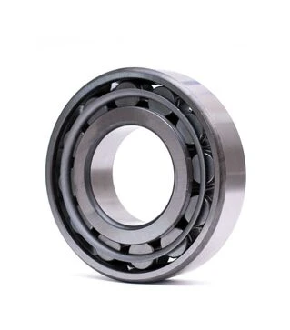 Подшипник роликовый цилиндрический 2313 КМ (10 ГПЗ)