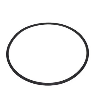 Кільце ущільнювача диференціала (R192356)