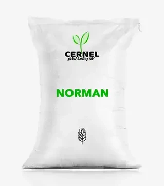 Ячмень озимый Norman (Норман), т (Cernel Global Holding NV)