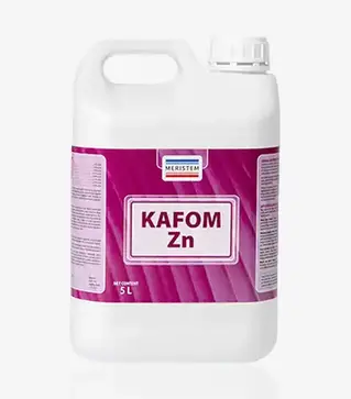 Микроудобрение Кафом Zn, 5 л (Meristem)