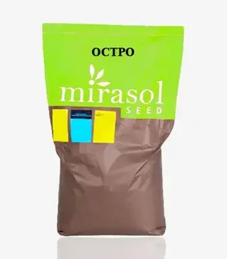 Кукуруза Ostro FAO 290 (Остро), п.е. 80 тыс. семян (Mirasol Seed)