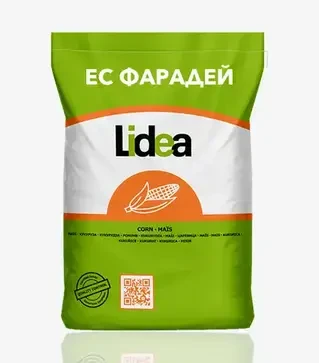 Кукурудза ЕС Фарадей, п.о. 80 тис. насінин (Lidea)