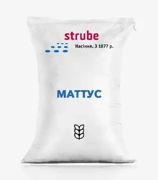 Озимая пшеница Маттус, т (Strube)