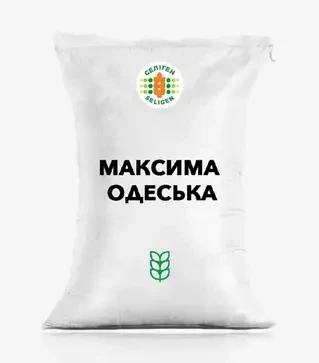 Пшеница озимая Максима Одесская, т (Селекционно-генетический институт)