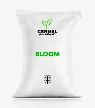 Озимая пшеница Bloom (Блум), т (Cernel Global Holding NV)