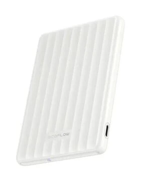 Универсальная мобильная батарея EcoFlow RAPID Mag Power Bank 5000 mAh, White (EF-RAPIDQI1-5K-W-EU)
