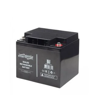 Аккумуляторная батарея EnerGenie AGM, 12 В, 40 A*ч (BAT-12V40AH)